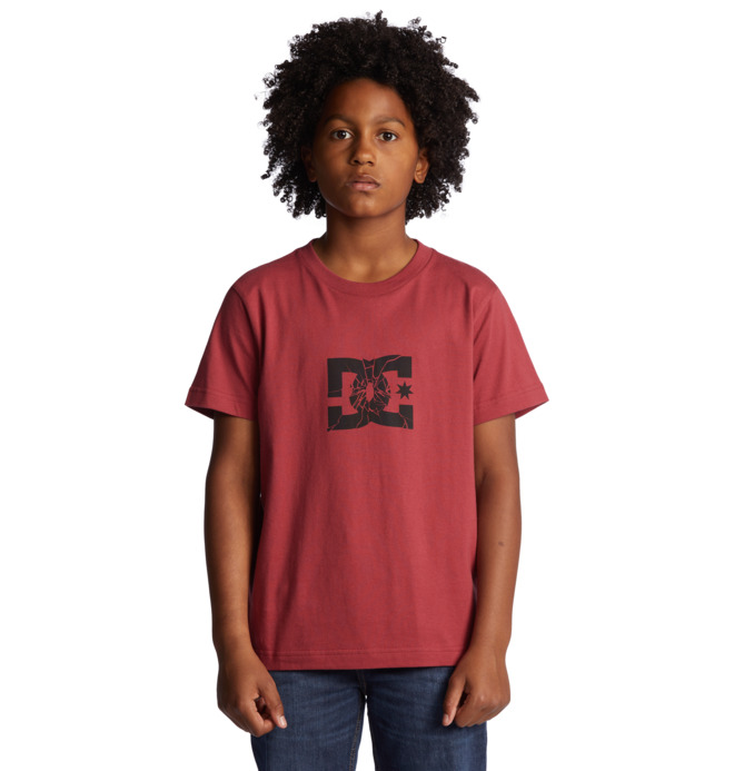 Shatter - T-Shirt for Boys 8-16  ADBZT03222