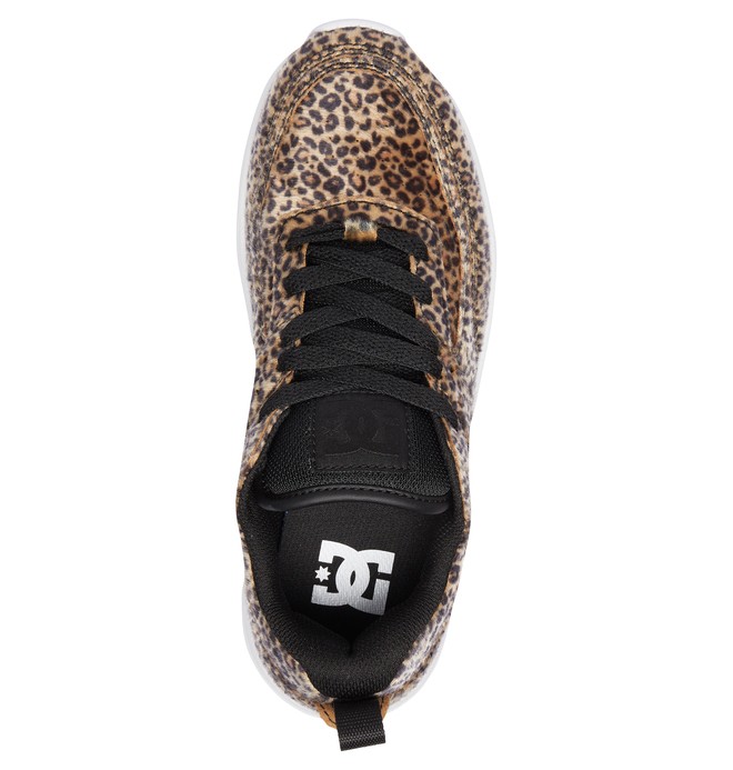 dc shoes e tribeka platform