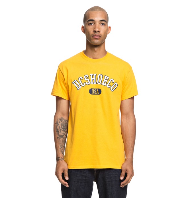 dcshoes, Arch Tee, GOLDEN ROD (ykk0) 0 Arch Tee Yellow ADYZT04356 DC Shoes