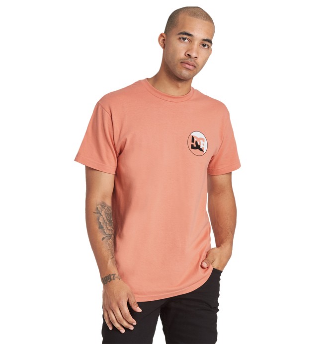 dcshoes, UP SHORE SS, ENGLISH ROSE (mdj0) 0 UP SHORE SS Pink ADYZT04630 DC Shoes