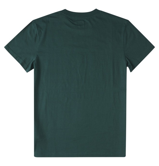 Big Caps TShirt for Men DC Shoes