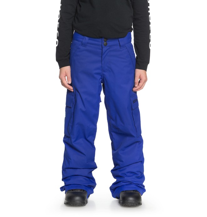 dcshoes, Boy's 8-16 Banshee Snow Pants, SURF THE WEB (prm0) 0 Boy's 8-16 Banshee Snow Pants Purple EDBTP03009 DC Shoes