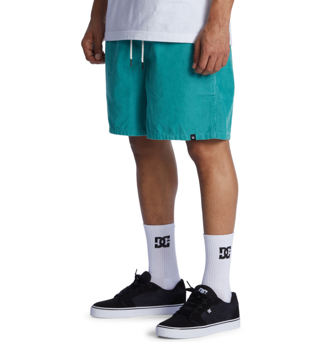 Abrupter 18" - Corduroy Shorts for Men  EDYWS03155