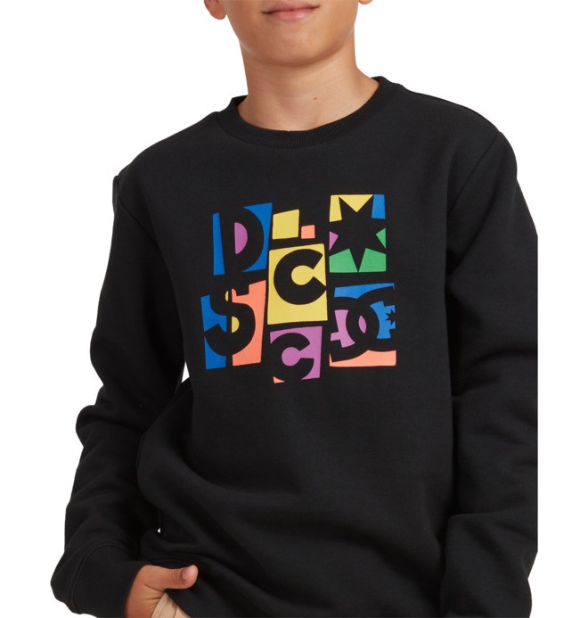 Youth Colour Blocks Crew Jumper 3613376075540 DC Shoes