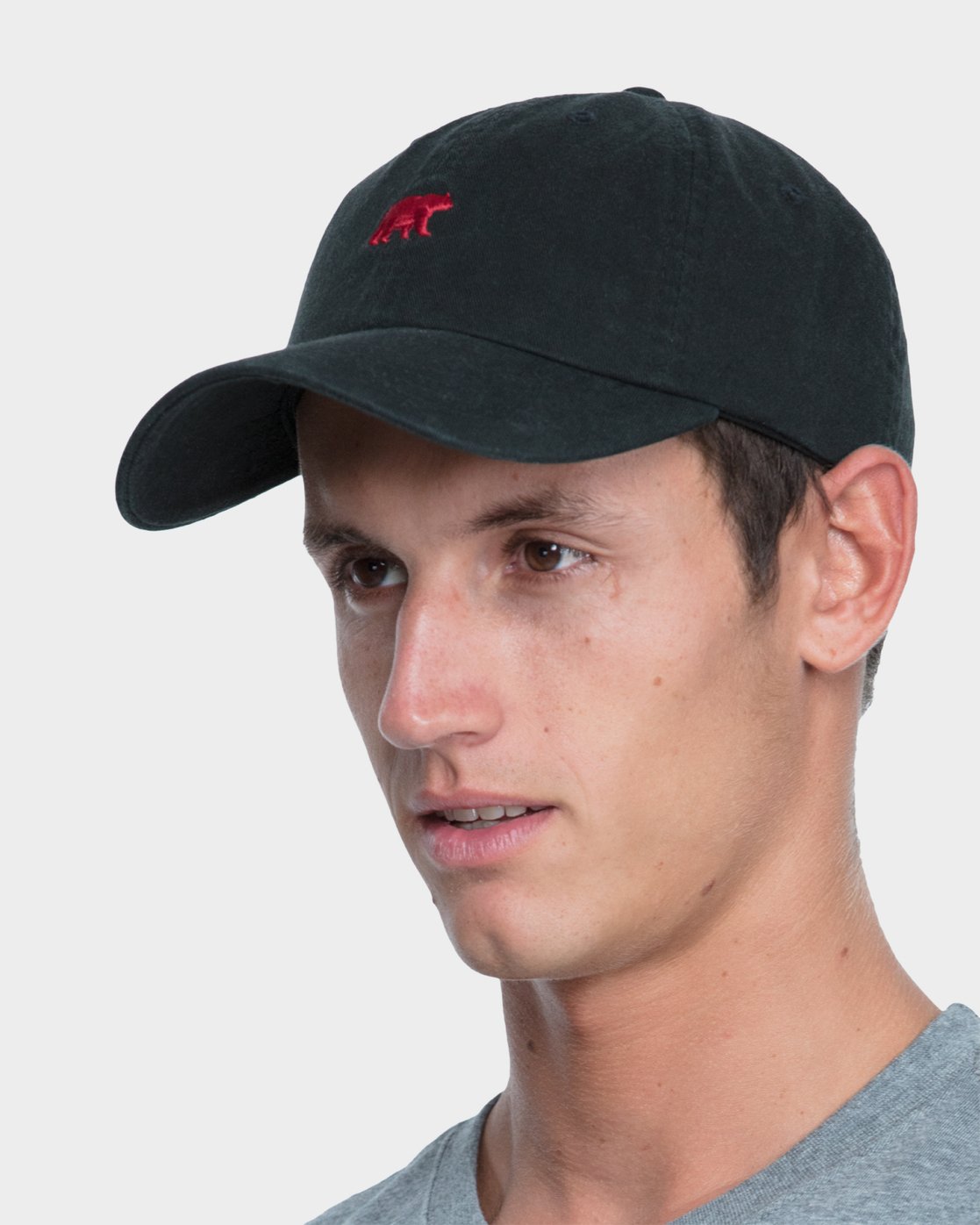 3 CA BEAR CAP  163608 Element