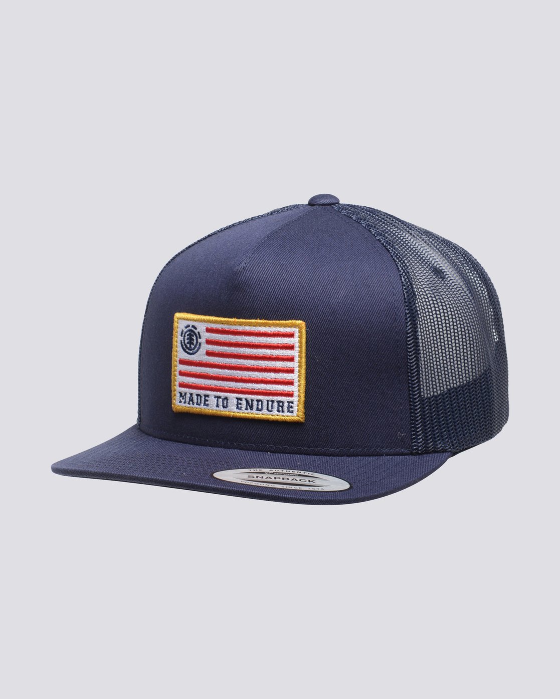 element skateboards hat