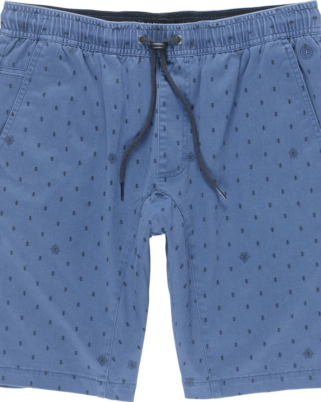 1 Altona Print Wk - Walkshort for Men Blue N1WKA5ELP9 Element