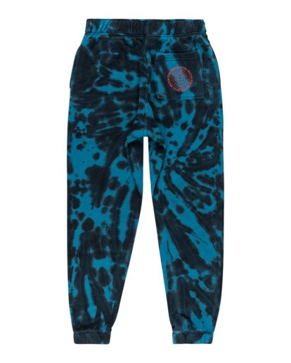 1 Boys' Drake Sweatpants  ALBNP00105 Element