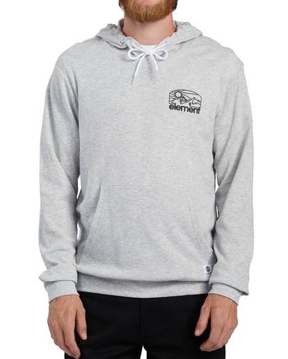 grey element hoodie
