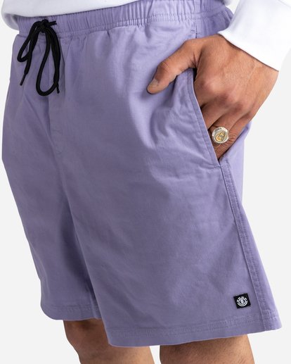 3 Valley Twill 17" Hybrid Shorts Purple ALYWS00126 Element