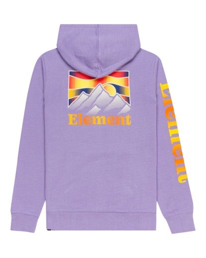 1 Kass - Sweat à capuche pour Homme Violet C1HOB7ELP2 Element