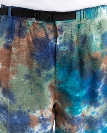 4 Wander Tie Dye 18" - Short outdoor pour Homme  C1WKC8ELP2 Element