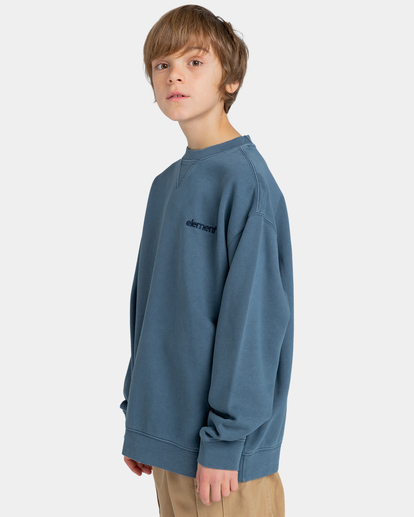 3 Cornell 3.1 - Sweat pour Garçon 8-16 ans Bleu ELBFT00110 Element