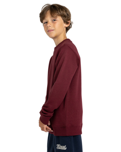 3 Cornell Classic - Sweatshirt for Boys 8-16 Red ELBFT00112 Element