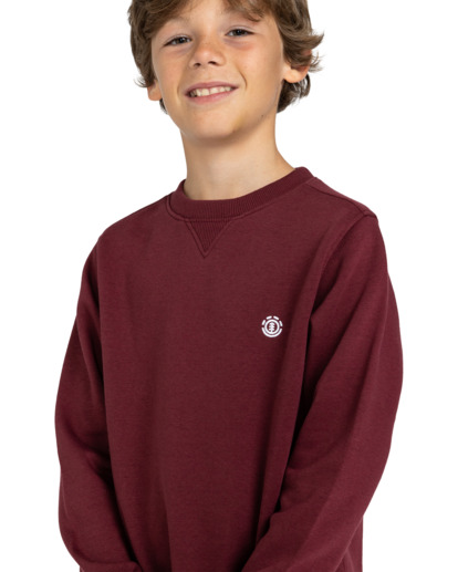 4 Cornell Classic - Sweat pour Garçon 8-16 ans Rouge ELBFT00112 Element