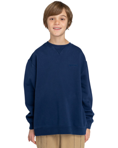 3 Cornell 3.0 - Sudadera para Chicos 8-16 Azul ELBFT00116 Element