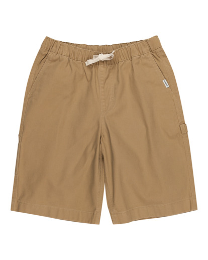 0 Carpenter - Carpenter Walk Shorts for Boys 8-16 Green ELBWS00112 Element