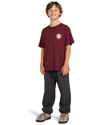 5 Seal Bp - T-shirt pour Garçon 8-16 ans Rouge ELBZT00110 Element