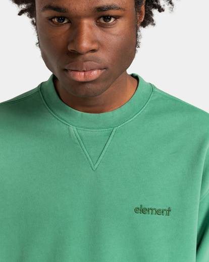 4 Cornell 3.0 - Felpa da Uomo Green ELYFT00130 Element