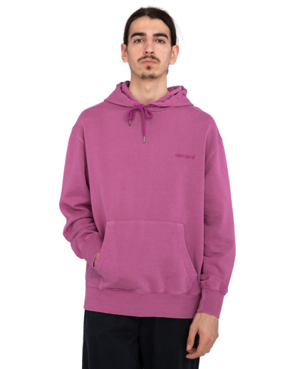 2 Cornell 3.0 - Felpa con cappuccio da Uomo Purple ELYFT00132 Element