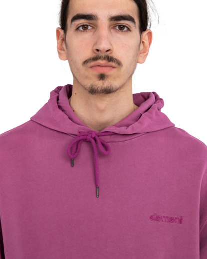 4 Cornell 3.0 - Felpa con cappuccio da Uomo Purple ELYFT00132 Element