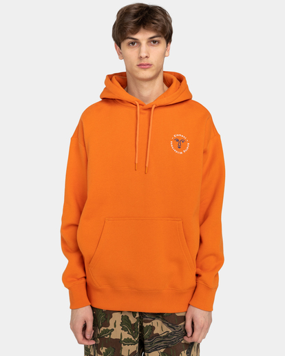 2 Cornell Cipher Hoodie  ELYFT00143 Element