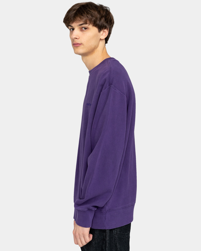 3 Cornell 3.0 - Sweatshirt for Men Purple ELYFT00151 Element