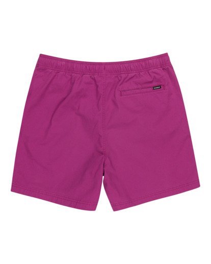 1 Valley Twill - Short Elástico para Hombre Violeta ELYWS00102 Element