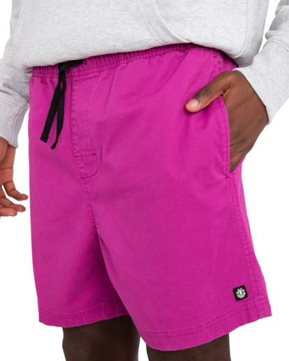 5 Valley Twill - Elasticated Shorts for Men Purple ELYWS00102 Element