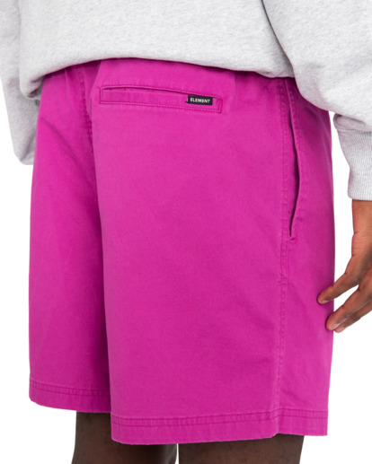 6 Valley Twill - Elasticated Shorts for Men Purple ELYWS00102 Element