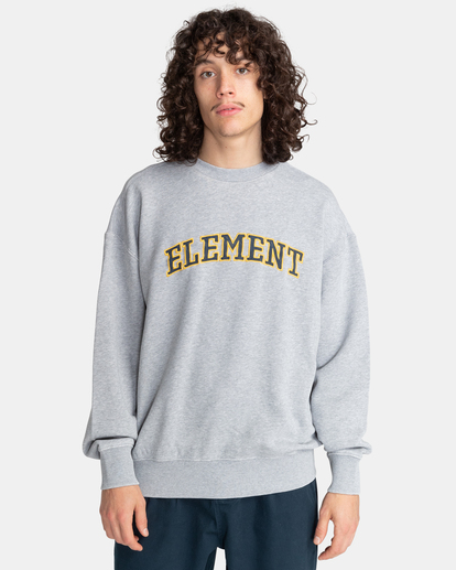 2 Unye - Sweatshirt für Männer Grau F1FLA3ELF2 Element