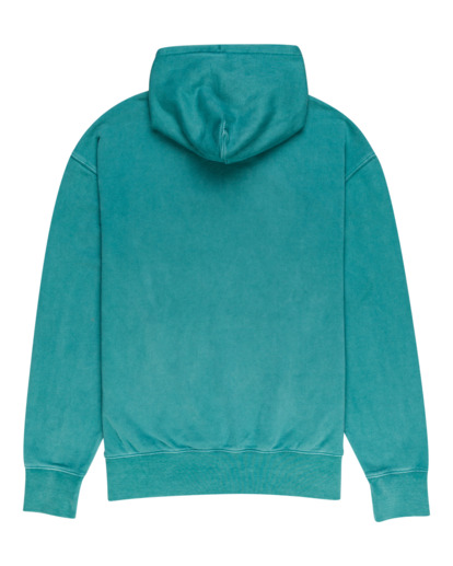 1 Cornell 3.0 - Sudadera con Capucha Verde F1HOB1ELF2 Element