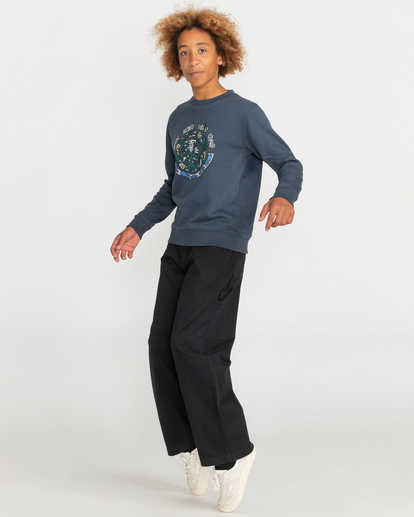 5 In The City Icon - Sweatshirt for Boys Gray F2CRC4ELF2 Element