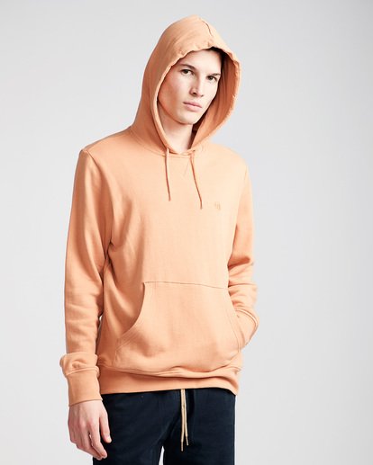 0 Layer Hoodie Brown M606TECF Element