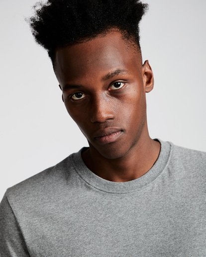 1 Basic - Short Sleeve T-Shirt Gray N1SSG1ELP9 Element