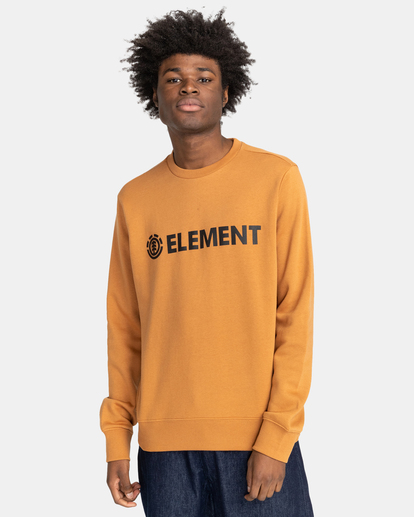 2 Blazin - Sweat pour Homme Marron U1CRA1ELF0 Element