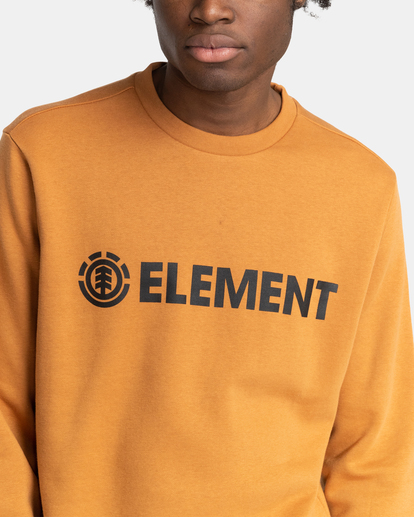 3 Blazin - Sweat pour Homme Marron U1CRA1ELF0 Element