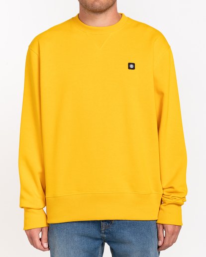 1 92 - Sweatshirt für Männer Grau U1CRA8ELF0 Element