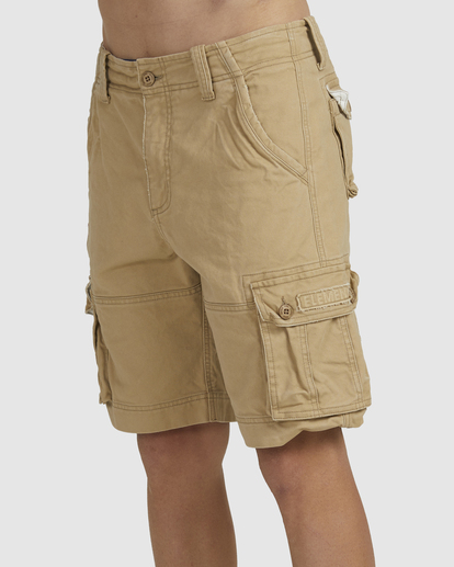 Element source cargo shorts Clearance