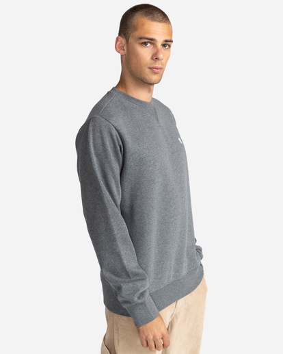 2 Cornell Classic - Sweatshirt Gray W1CRB5ELP1 Element