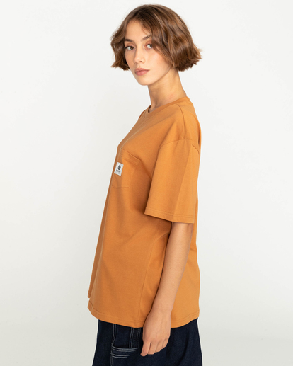 6 Basic Label - Short Sleeves T-Shirt Brown Z1SSI1ELF1 Element