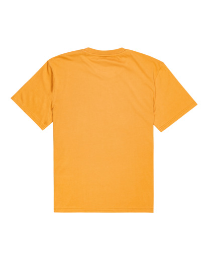 1 Vertical 2022 - T-shirt pour Homme Marron Z1SSI4ELF1 Element