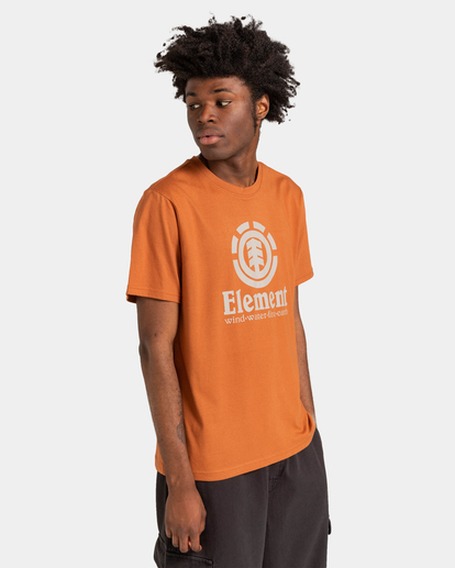3 Vertical 2022 - T-shirt pour Homme Marron Z1SSI4ELF1 Element