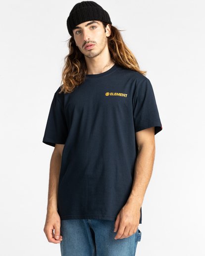 1 Blazin Chest 2022 - T-shirt pour Homme Gris Z1SSI6ELF1 Element