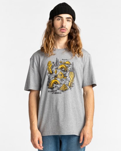 1 Cracks - T-Shirt for Men Gray Z1SSP1ELF1 Element