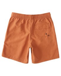 1 Boys' Canyon Hybrid Shorts Brown ALBWS00104 Element