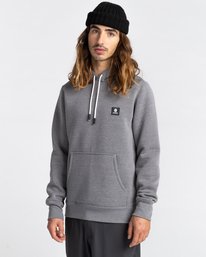 2 Heavy Hoodie Grey ALYFT00158 Element