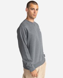 2 Cornell Classic Crewneck Sweatshirt Grey ALYFT00160 Element