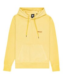 0 Cornell 3.0 Hoodie Yellow ALYFT00161 Element