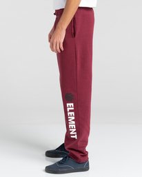 3 Cornell Track Sweatpants Multicolor ALYNP00107 Element